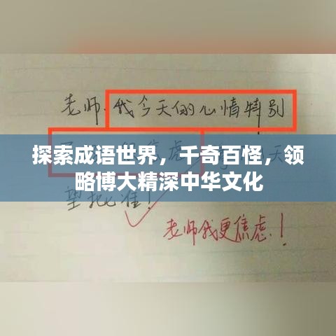 探索成语世界，千奇百怪，领略博大精深中华文化