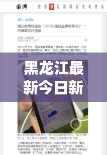 黑龙江最新今日新闻事件概览，时事动态速递