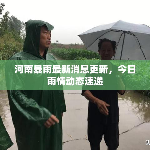 河南暴雨最新消息更新，今日雨情动态速递