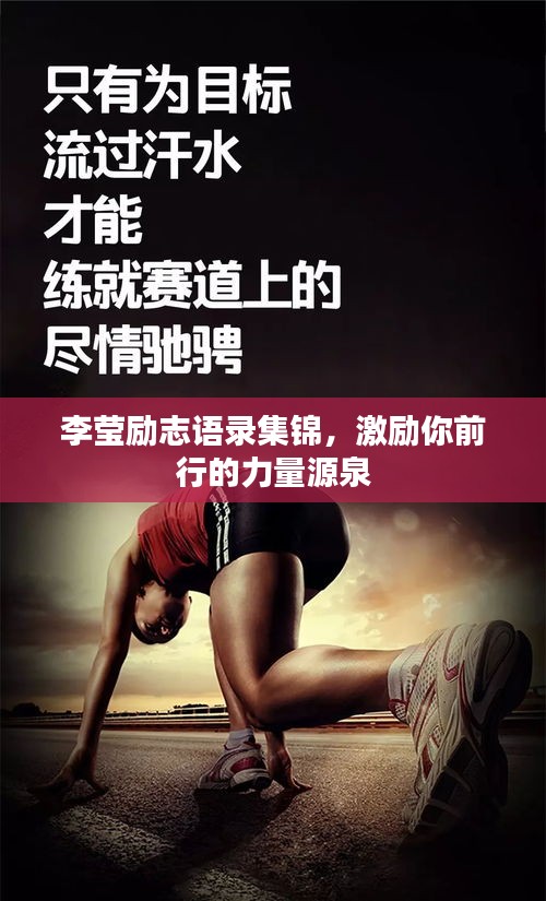 李莹励志语录集锦，激励你前行的力量源泉