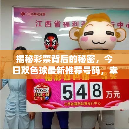 揭秘彩票背后的秘密，今日双色球最新推荐号码，幸运就在今日！