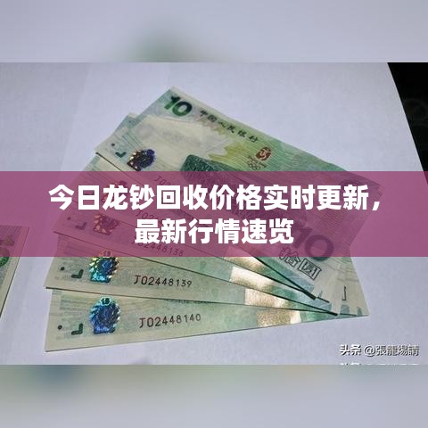 今日龙钞回收价格实时更新，最新行情速览