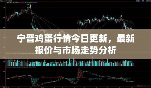 宁晋鸡蛋行情今日更新，最新报价与市场走势分析