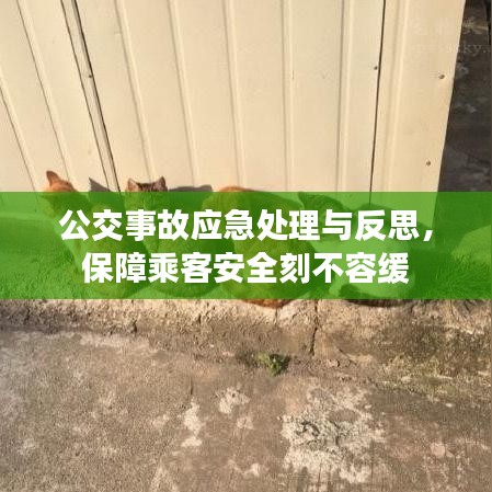 公交事故应急处理与反思，保障乘客安全刻不容缓