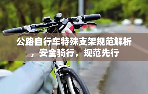 公路自行车特殊支架规范解析，安全骑行，规范先行