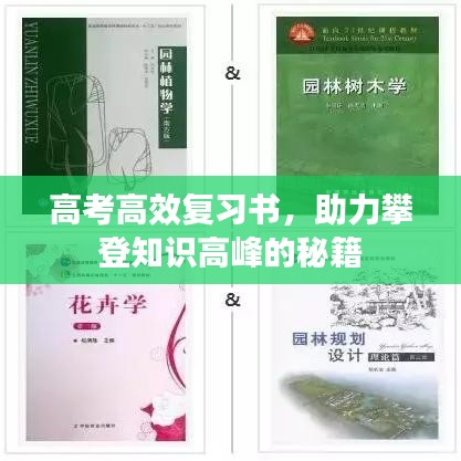 高考高效复习书，助力攀登知识高峰的秘籍