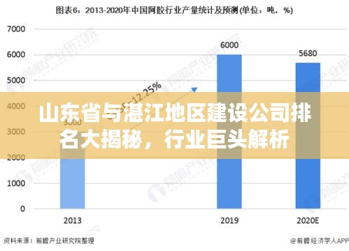 山东省与湛江地区建设公司排名大揭秘，行业巨头解析