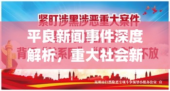平良新闻事件深度解析，重大社会新闻背后的真相