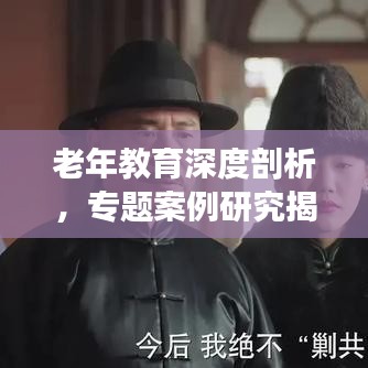 老年教育深度剖析，专题案例研究揭秘