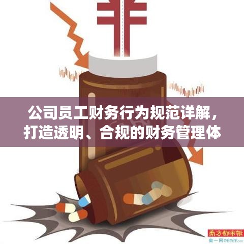 公司员工财务行为规范详解，打造透明、合规的财务管理体系！