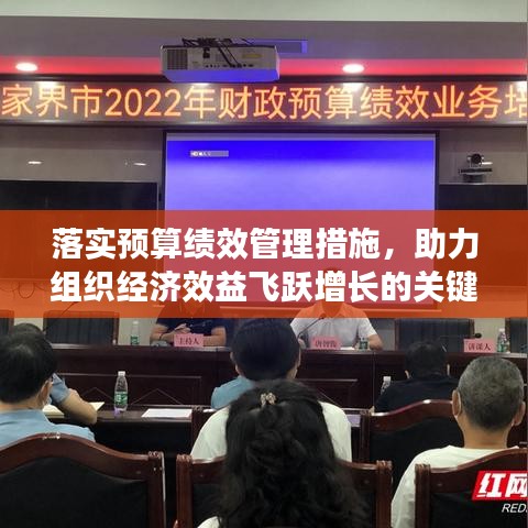 落实预算绩效管理措施，助力组织经济效益飞跃增长的关键路径