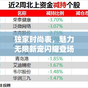 独家时尚表，魅力无限新宠闪耀登场
