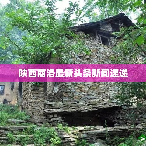 陕西商洛最新头条新闻速递