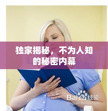 独家揭秘，不为人知的秘密内幕
