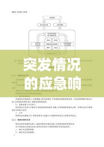 突发情况的应急响应与管理机制，高效应对危机，保障安全稳定
