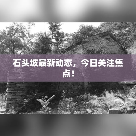 石头坡最新动态，今日关注焦点！