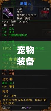 宠物装备全新攻略指南