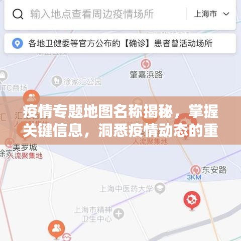 疫情专题地图名称揭秘，掌握关键信息，洞悉疫情动态的重要性