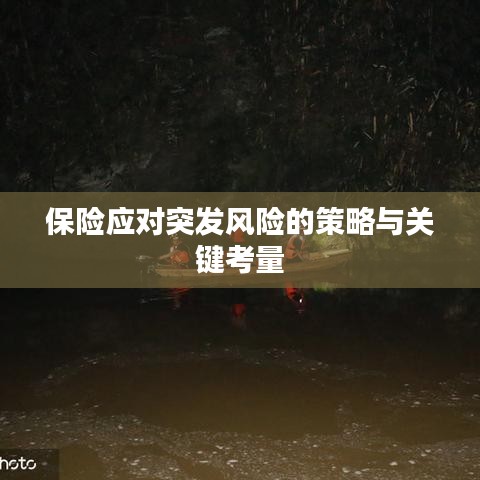 保险应对突发风险的策略与关键考量