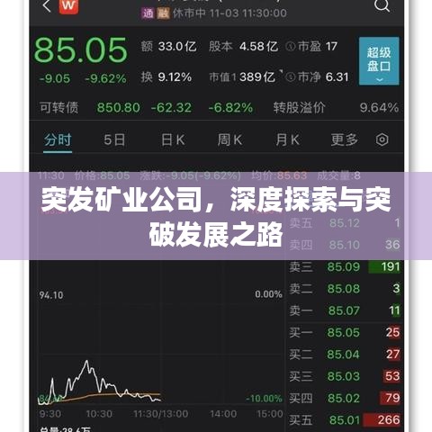 笨鸟先飞
