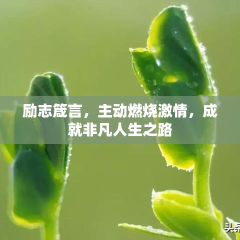 励志箴言，主动燃烧激情，成就非凡人生之路