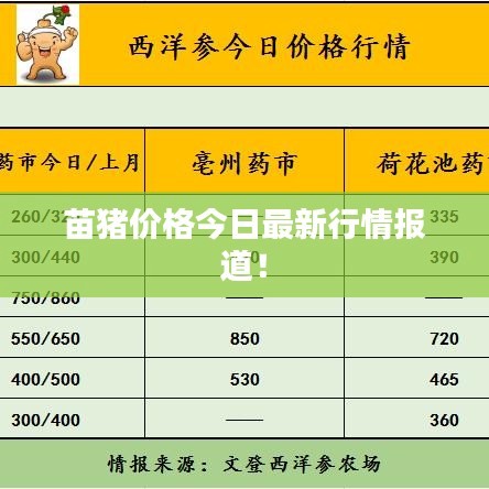 苗猪价格今日最新行情报道！