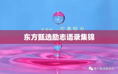 东方甄选励志语录集锦