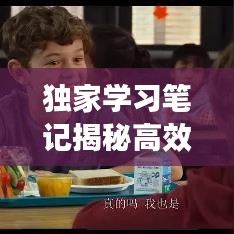 运输网络 第37页