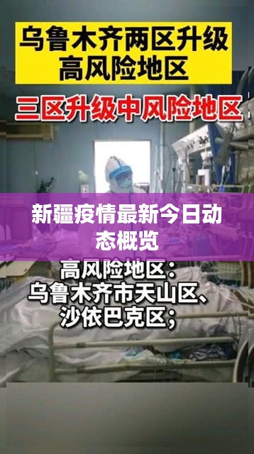 新疆疫情最新今日动态概览
