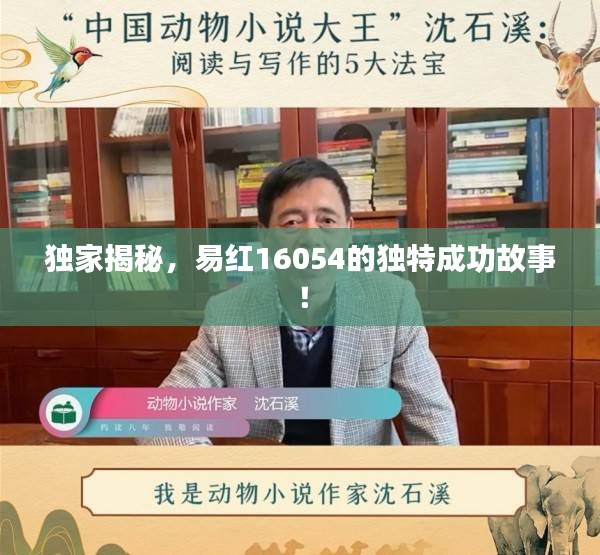 独家揭秘，易红16054的独特成功故事！