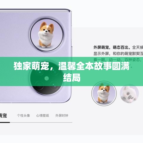独家萌宠，温馨全本故事圆满结局