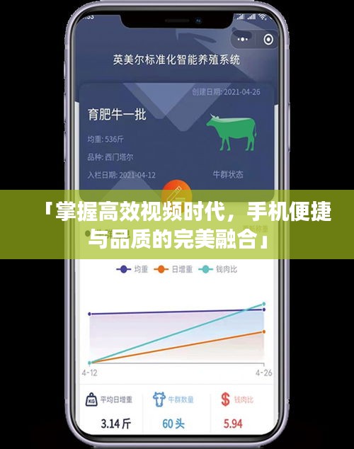「掌握高效视频时代，手机便捷与品质的完美融合」