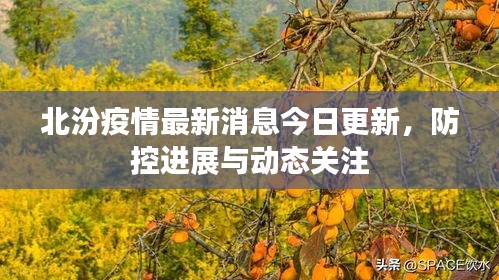 北汾疫情最新消息今日更新，防控进展与动态关注