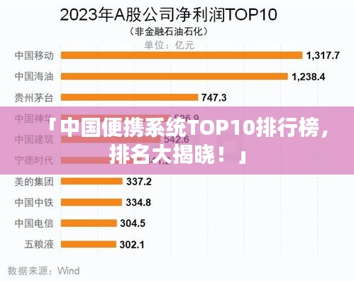 「中国便携系统TOP10排行榜，排名大揭晓！」