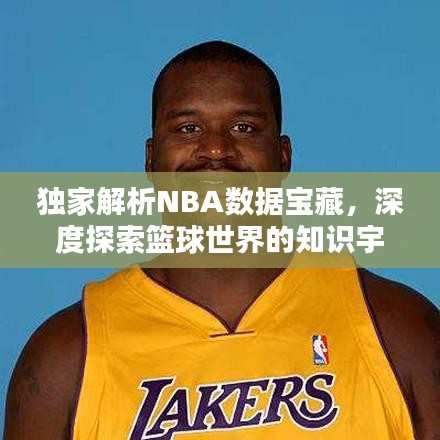 独家解析NBA数据宝藏，深度探索篮球世界的知识宇宙