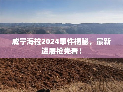 威宁海拉2024事件揭秘，最新进展抢先看！