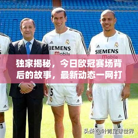 独家揭秘，今日欧冠赛场背后的故事，最新动态一网打尽！