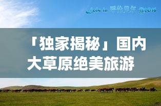 「独家揭秘」国内大草原绝美旅游攻略，让你畅游无界！