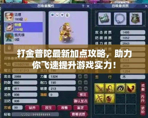 打金普陀最新加点攻略，助力你飞速提升游戏实力！