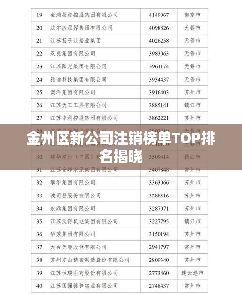 金州区新公司注销榜单TOP排名揭晓