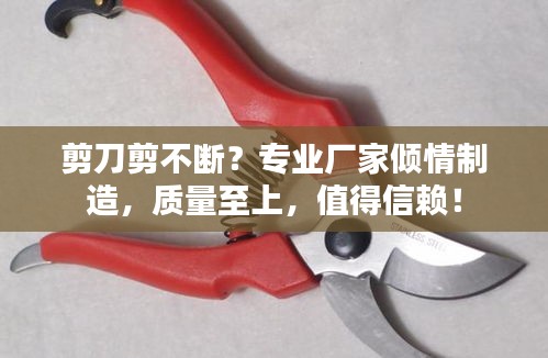 剪刀剪不断？专业厂家倾情制造，质量至上，值得信赖！