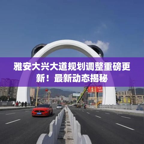 雅安大兴大道规划调整重磅更新！最新动态揭秘
