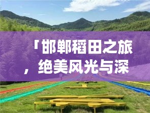 「邯郸稻田之旅，绝美风光与深度体验攻略」