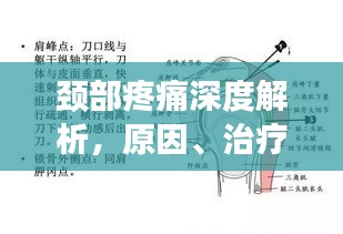 颈部疼痛深度解析，原因、治疗与预防（百度收录标准）