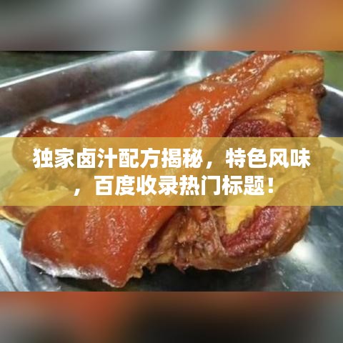 独家卤汁配方揭秘，特色风味，百度收录热门标题！