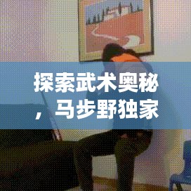 探索武术奥秘，马步野独家秘笈揭秘