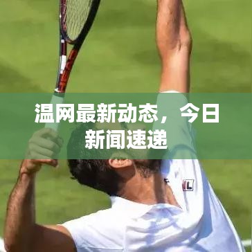 温网最新动态，今日新闻速递