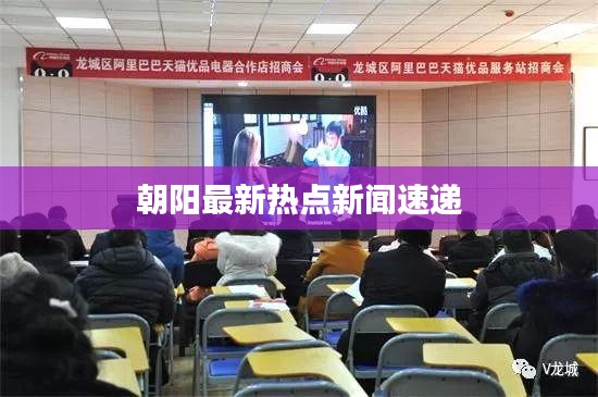 朝阳最新热点新闻速递