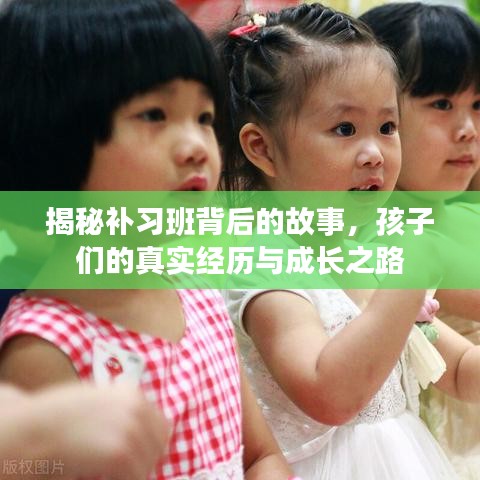 揭秘补习班背后的故事，孩子们的真实经历与成长之路