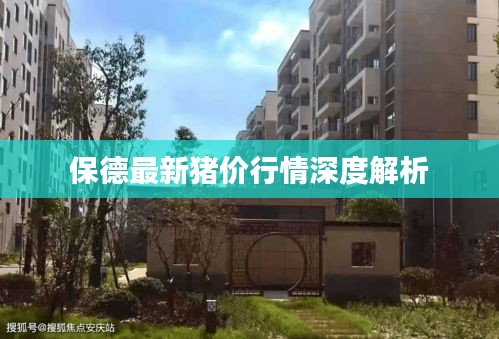 保德最新猪价行情深度解析
